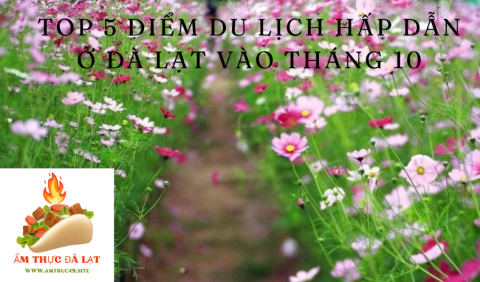 Top 5 điểm du lịch hấp dẫn ở Đà Lạt vào tháng 10