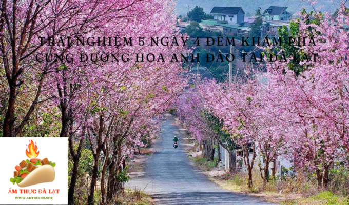 Trải Nghiệm 5 Ngày 4 Đêm Khám Phá Cung Đường Hoa Anh Đào Tại Đà Lạt